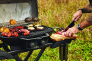 Napoleon Phantom TravelQ PRO285X Gasgrill mit Scherenwagen, mattschwarz