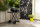 Napoleon Phantom TravelQ PRO285X Gasgrill mit Scherenwagen, mattschwarz